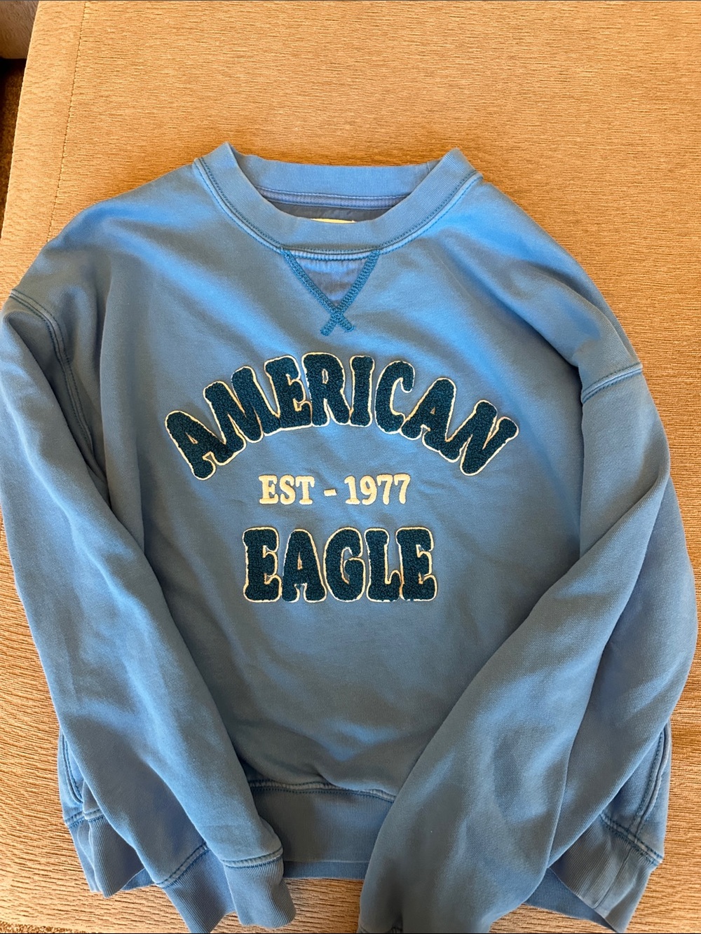 American Eagle Outfitters Light Blue Crewneck Sweatshirt with Dark Blue Logo